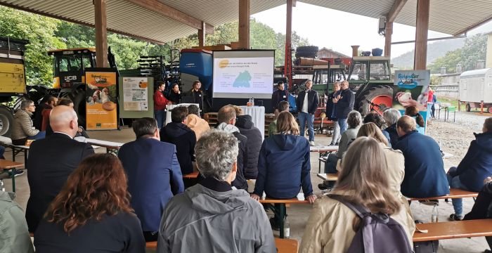 Versuchsaufbau mit Linsenpflanzen in Töpfen Versuchsaufbau mit Linsenpflanzen in Töpfen