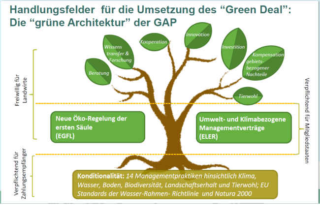 Handlungsfelder Green Deal