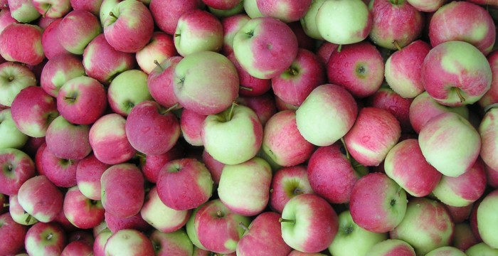 Äpfel Äpfel