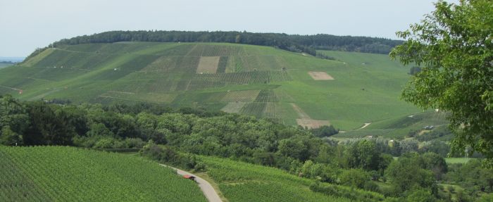 Weinberge Weinberge