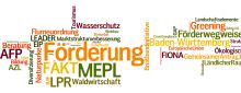 Wortwolke aus verschiedenen Begriffen zum Thema Förderung; Bild LEL