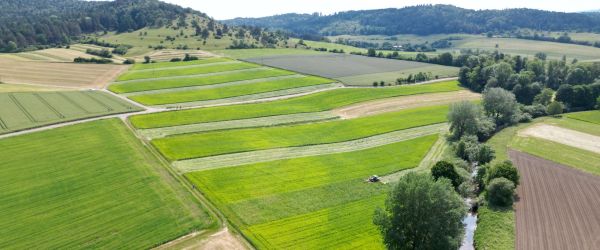 Landschaftsluftbild 