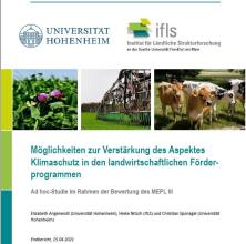Screenshot: Titelseite der Ad hoc Studie des ifls