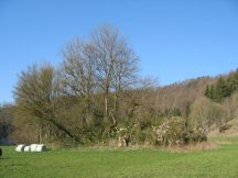 Felsriegel