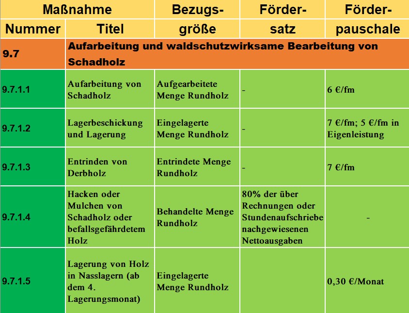 Tabelle zur Fördermaßnahme 