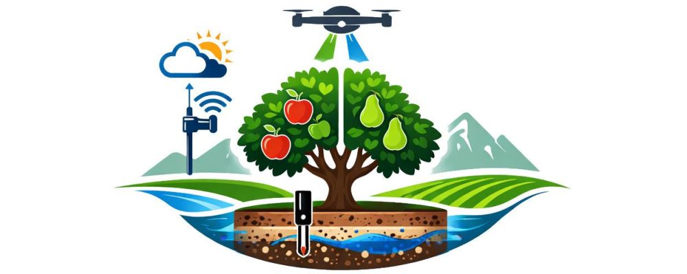 Baum mit Äpfeln und Birnen, Drohne wässert, Bodenschichten, WLAN-Symbol
