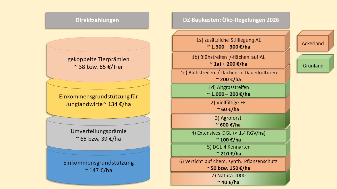 Bilder anzeigen