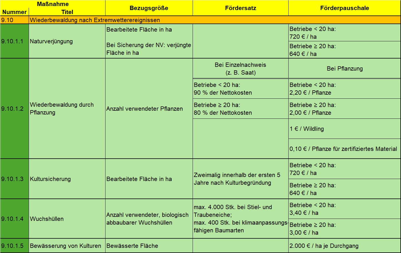 Tabelle zeigt fünf Fördermaßnahmen zur Wiederbewaldung nach Extremwetterereignissen deren Bezugsgrößen Fördersätze und Förderpauschalen