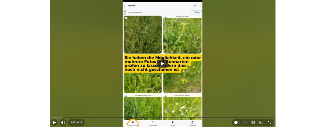 Standbild der Video-Anleitung zur App profil (bw)