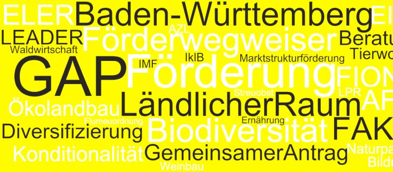 Wortwolke aus verschiedenen Begriffen zum Thema Förderung; Bild LEL