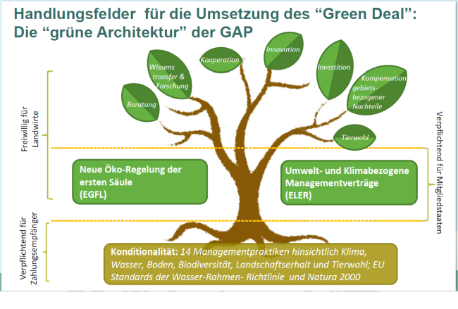 Handlungsfelder Green Deal Handlungsfelder Green Deal
