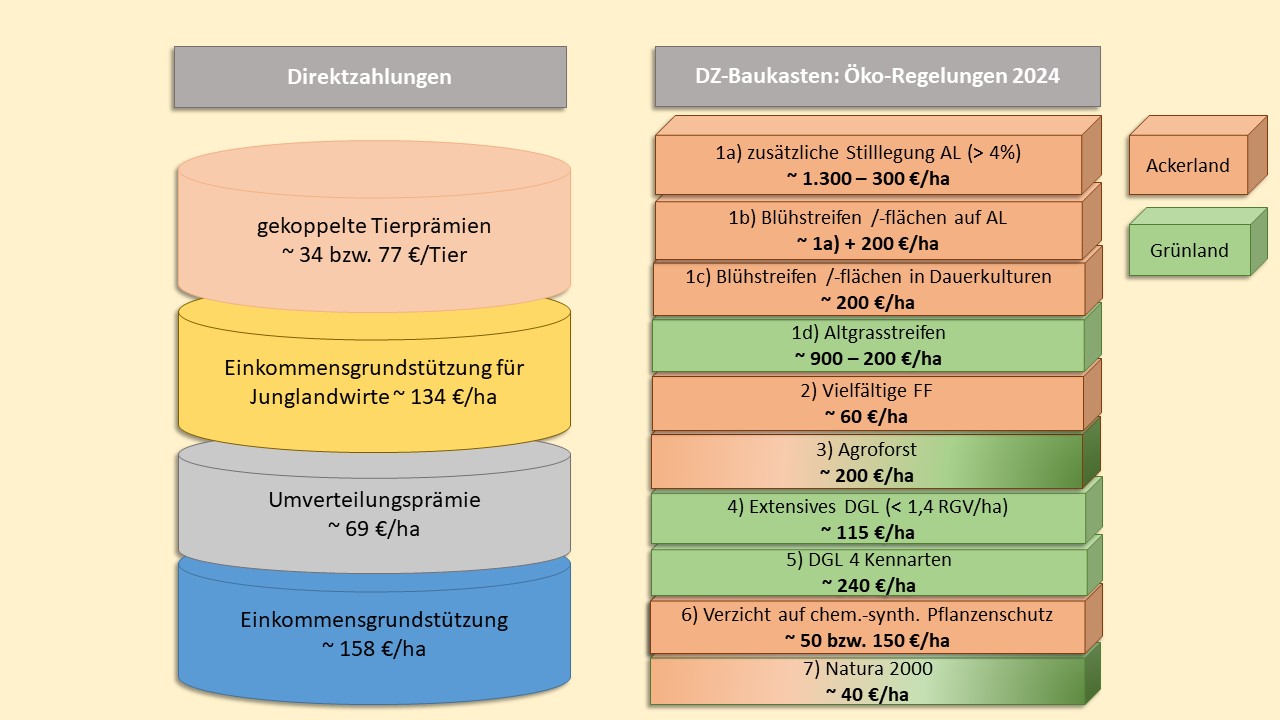 Bilder anzeigen