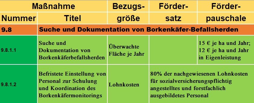 Tabelle zur Fördermaßnahme 