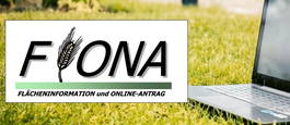 Logo FIONA