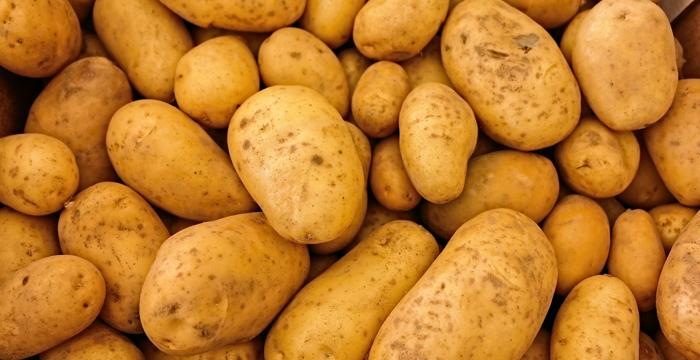 Kartoffeln Kartoffeln