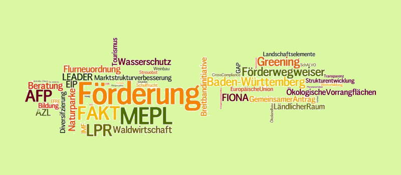 Wortwolke aus verschiedenen Begriffen zum Thema Förderung; Bild LEL