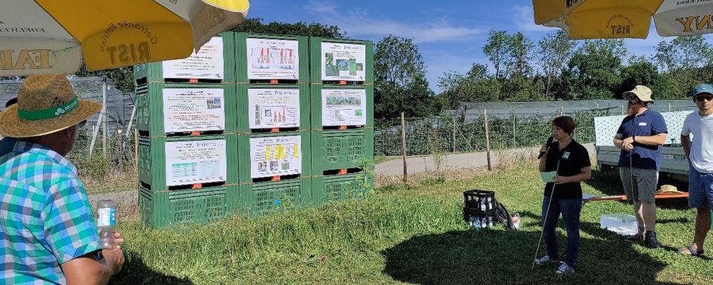 Präsentationsveranstaltung des Projekts im Freien