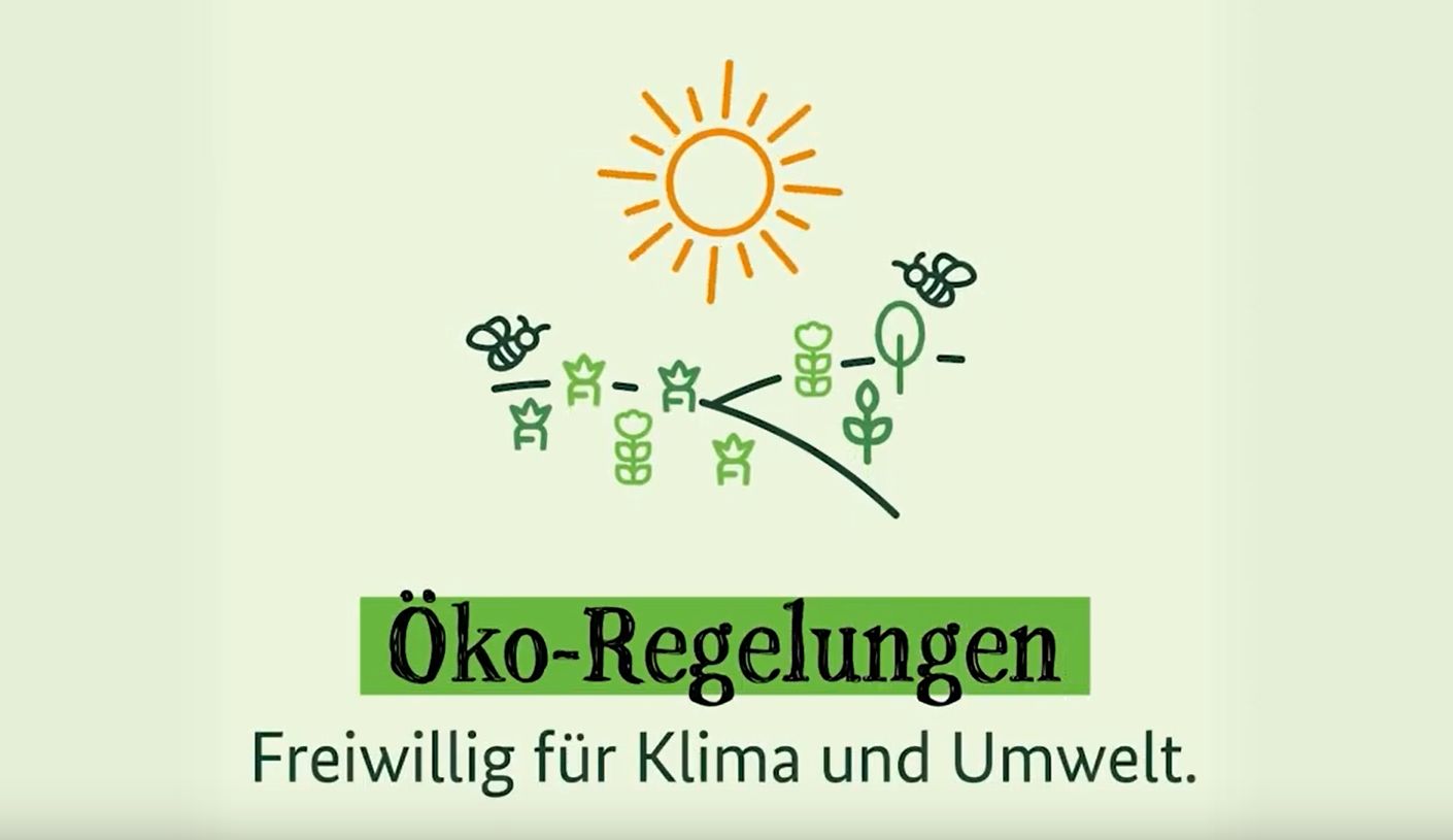Erkläranimation zu den Öko-Regelungen
